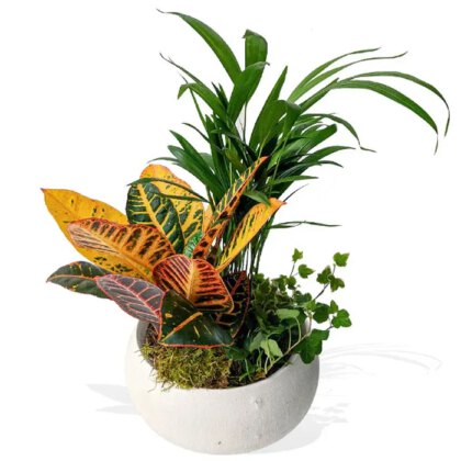 Belise Vase